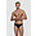 Mens Endurance+ 5cm Brief, Black, swatch