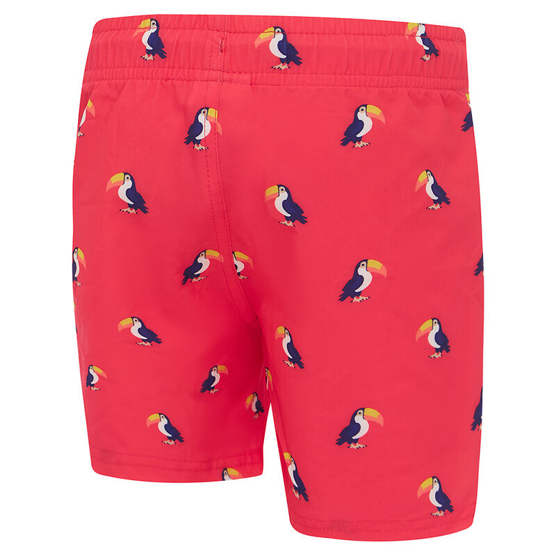 Toddler Boys Speedo Toucan Shorties